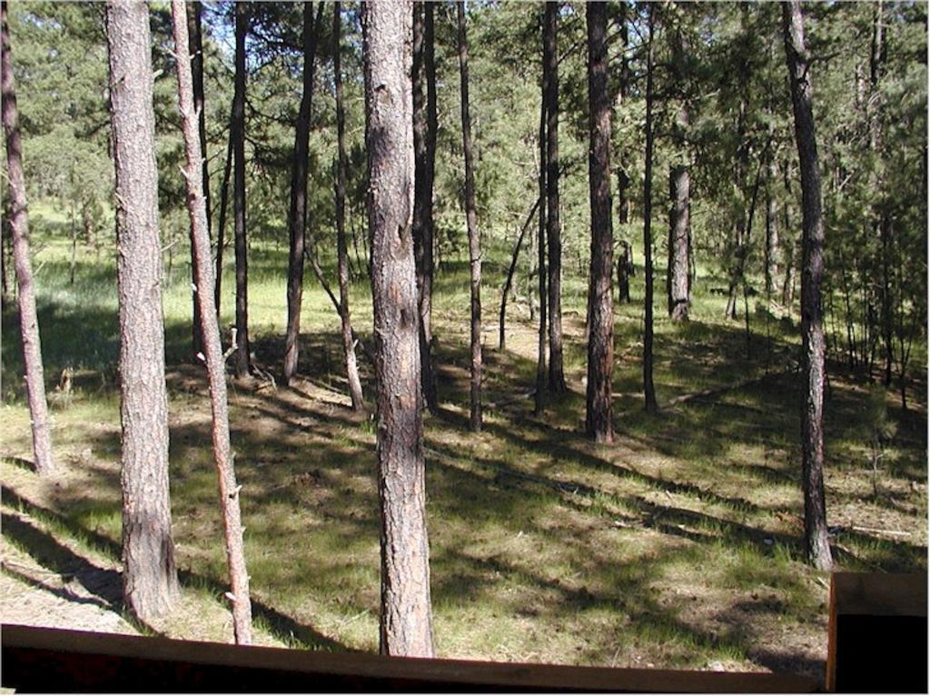 Comanche Lodge Custer Zimmer foto